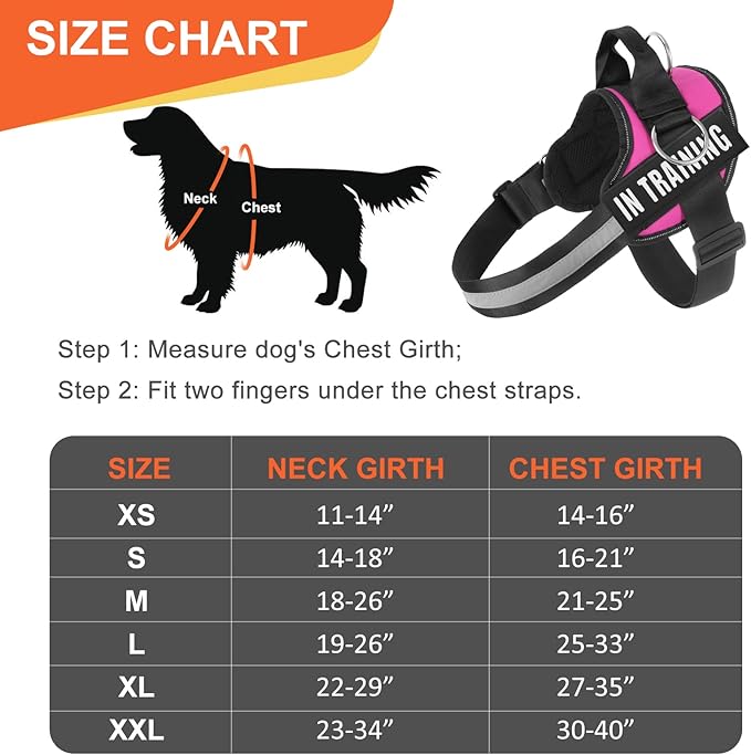 Essential Dog Harness, No Pull Pet Harness with 3 Side Rings for Leash Placement, No Choke, Reflective, Adjustable Pet Vest, Easy On-Off & Improved Control Handle, Training, Walking, Running