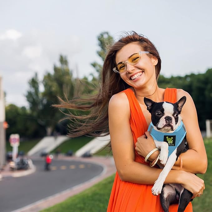 EcoBark Step in Dog Harness - Teacup Dog Harness for XXXS, XXS, XS and Small Dogs - Soft Mesh Puppy Harness - Toy Breed Mini Body Halter Vest - Reflective and Adjustable- 3XS (Baby Blue, XXXS)