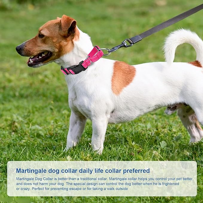 Reflective Martingale Dog Collars. Dog Collar with Quick Release Buckle. Adjustable Soft Padded Breathable Nylon Pet Collar Suitable for Puppies for Small Medium Large Dogs.
