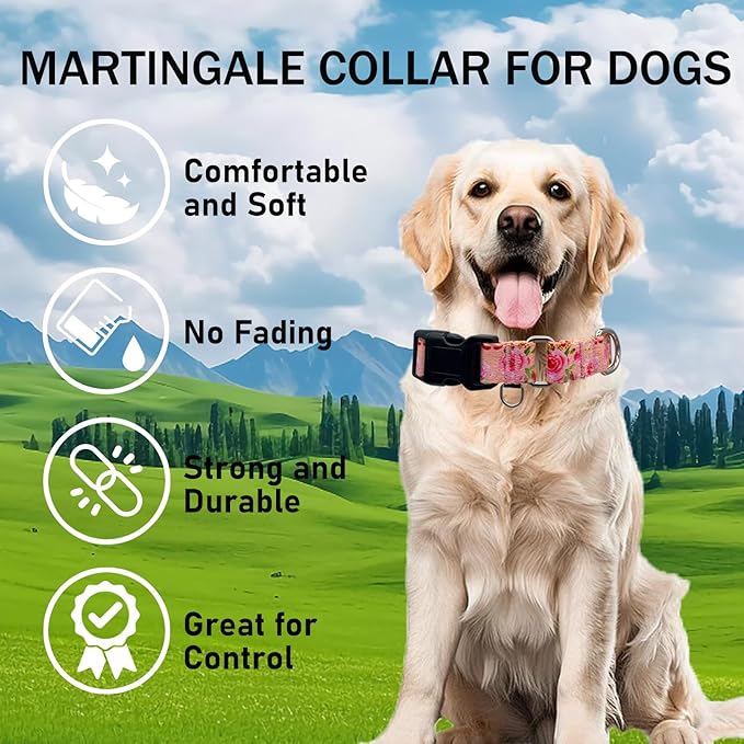Female Martingale Dog Collar with Buckle Cute Girl Pink Floral Dog Collars for Medium Dogs, Watercolor Pink Rose