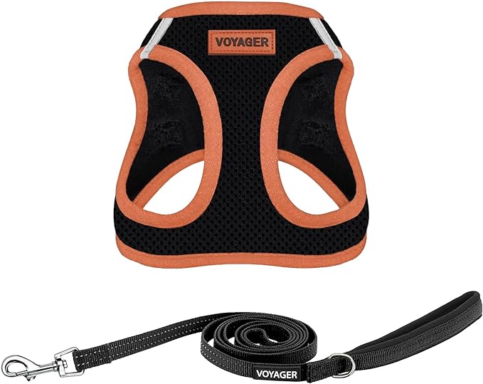 Voyager Step-in Air All Weather Mesh Harness and Reflective Dog 5 ft Leash Combo with Neoprene Handle, for Small, Medium and Large Breed Puppies by Best Pet Supplies - Black/Orange Trim, X-Large