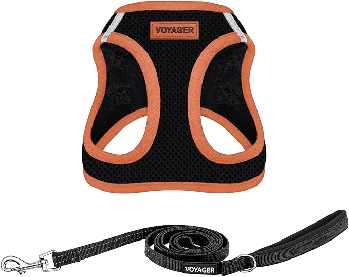 Voyager Step-in Air All Weather Mesh Harness and Reflective Dog 5 ft Leash Combo with Neoprene Handle, for Small, Medium and Large Breed Puppies by Best Pet Supplies - Black/Orange Trim, Large