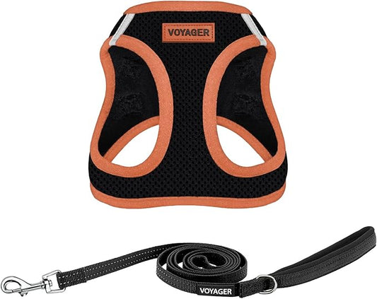 Voyager Step-in Air All Weather Mesh Harness and Reflective Dog 5 ft Leash Combo with Neoprene Handle, for Small, Medium and Large Breed Puppies by Best Pet Supplies - Black/Orange Trim, X-Small