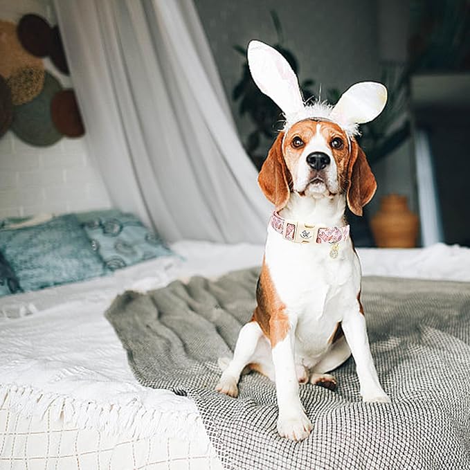 Elegant little tail Easter Dog Collar,Bunny Pattern Pet Collar Pink Durable Holiday Female or Male Adjustable Cotton Pet Collar with Quick Release Buckle for Medium Dogs