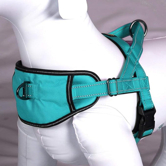 Max and Neo Passport Reflective Dog Harness - We Donate a Harness to a Dog Rescue for Every Harness Sold (Medium (19"-24.5" Chest Girth), Teal)
