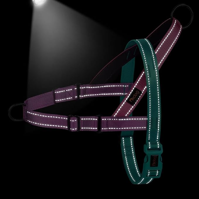 Didog No Pull Dog Harness with Soft Padded Handle, Quick Fit & Lightweight Adjustable Vest Harness, Easy for Training Walking for Small & Medium and Large Dogs(Dark Green,S)