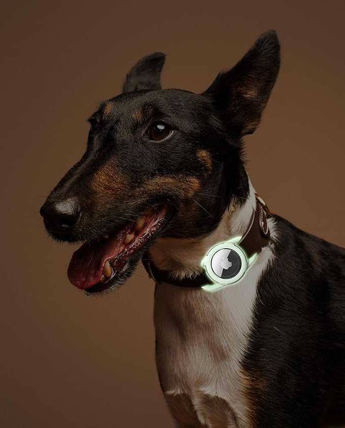Waterproof Airtag Dog Collar Holder, Silicone & ABS Airtag Holder for Dog & Cat Collars, Ultra-Durable, Lightweight and Protective Airtag Case (Luminous, Small)