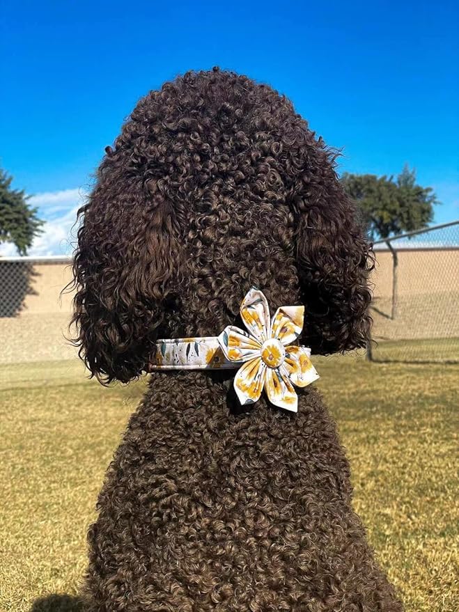 Elegant little tail Sunflower Girl Dog Collar for Female Dogs, Pet Collar Adjustable Dog Collars with Flower Gift for Small Dogs and Cats