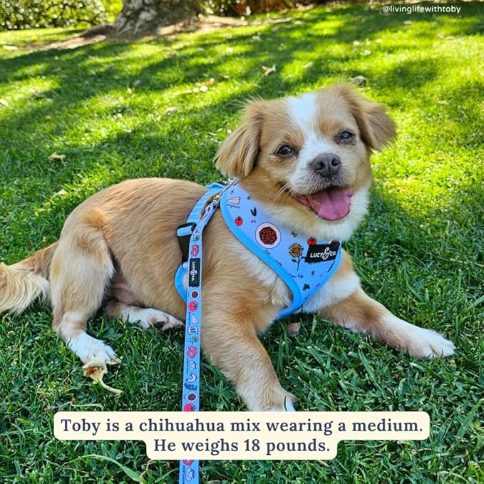 Lucy & Co. Cute Reversible Dog Harness Walking Halter - Best Designer Pet Harnesses for XS - XL Dogs - Padded Adjustable Vest for Easy Walking - X Small - Periwinkle Vacation Icons
