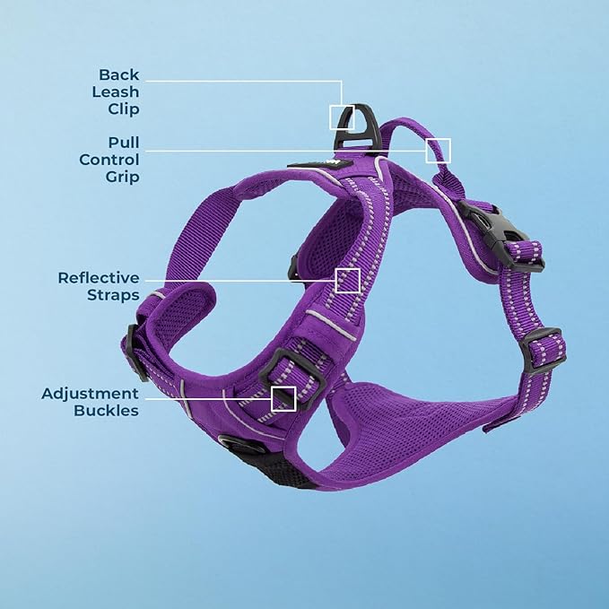 No Pull Dog Harness for Large Dogs, Dual Leash Attachments, Adjustable Soft but Strong Pet Harness with 3M Reflective Technology, Purple Lattice Nylon, M (Chest: 20-25")
