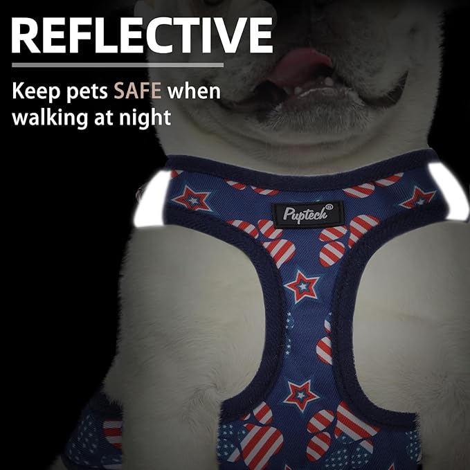 PUPTECK Dog Harness and Leash Set for Small Medium Dogs No Pull Step-in Soft Mesh Puppy Cat Vest Harnesses Reflective at Night, Stars and Strips, Blue, S