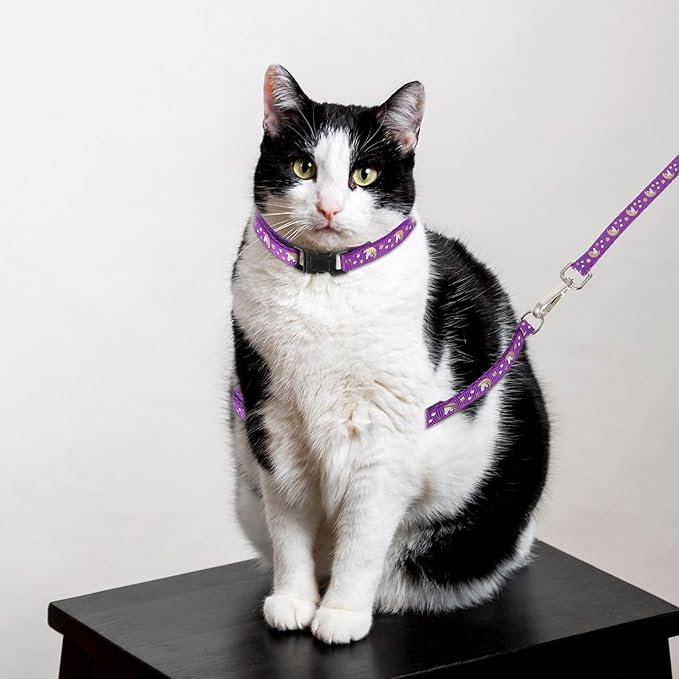 2 Pack Adjustable Cat Harness with Collar Set, Escape Proof Harness Comfortable Soft Neck Release Harnesses Glow in The Dark for Small Medium Cats