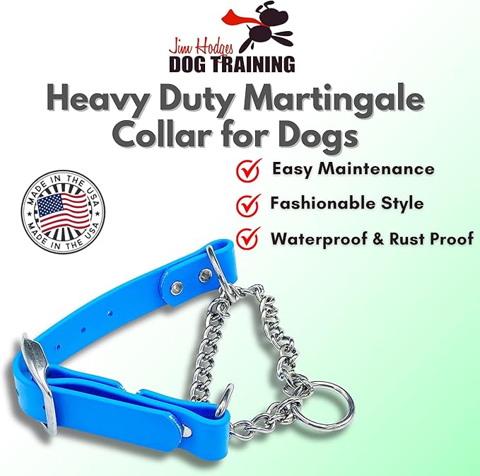 Martingale Collar for Dogs, Biothane, Stainless Steel Hardware, No Pull, Made in The USA, Professional Grade, Small, Light Blue