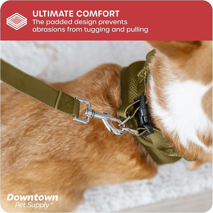 Downtown Pet Supply Step in Dog Harness for Teacup Dogs & Cats No Pull, XX-Small, Hunter Green - Adjustable Harness with Padded Mesh Fabric and Reflective Trim - Buckle Strap Harness for Dogs