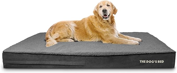 The Dog’s Bed Orthopedic Jumbo Memory Foam Dog Bed, XXXL Grey Plush 64x44, Pain Relief for Arthritis, Hip & Elbow Dysplasia, Post Surgery, Lameness, Supportive, Waterproof Washable Cover