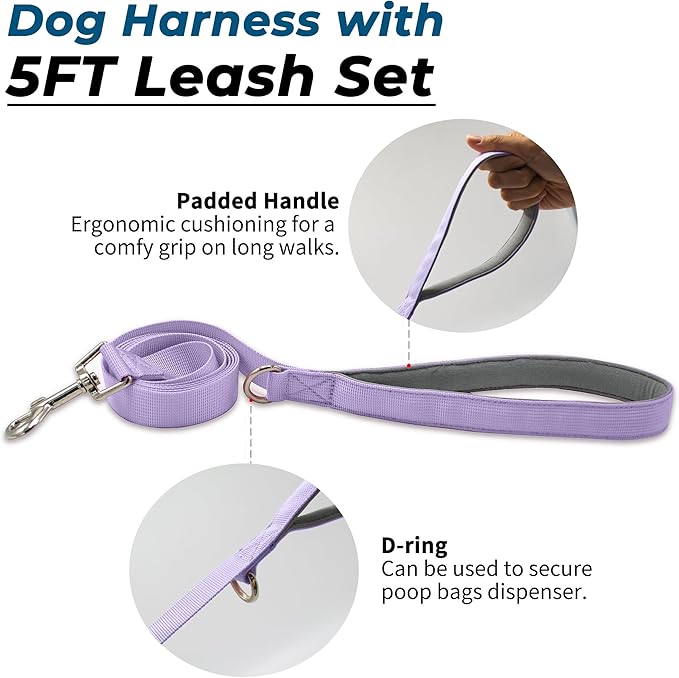 Escape Proof Dog Harness and Leash Set, Lightweight Dog Harness with Lift and Assist Handle, No Pull Reflective Pet Vest for Small Medium Dogs, Ideal for Puppy Walking and Training (Purple,XS)