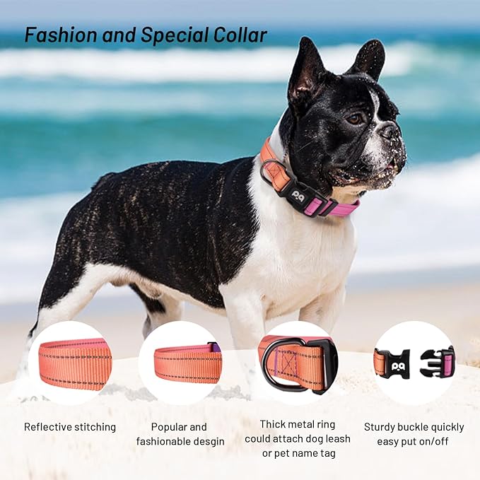 Dog Collar Cute Flower, Reflective Adjustable Basic Collars for Girl Female Small Medium Large Dogs Walking Running(Small,Orange Red)