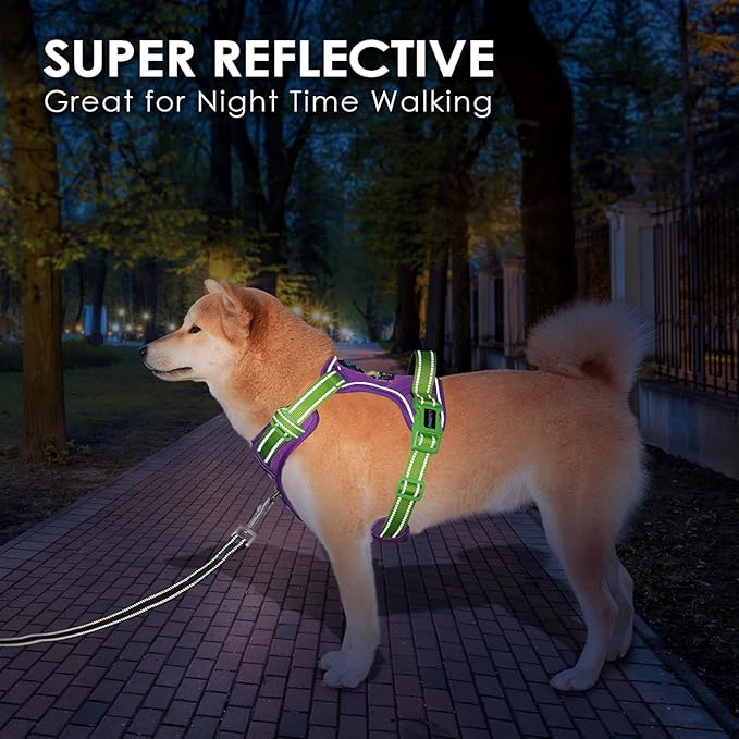 PHOEPET No Pull Dog Harness, Unique Colors Reflective Adjustable Dog Vest, with Soft Training Handle Metal Clips for Small Medium Large Dogs (Purple Base & Green Straps,L)