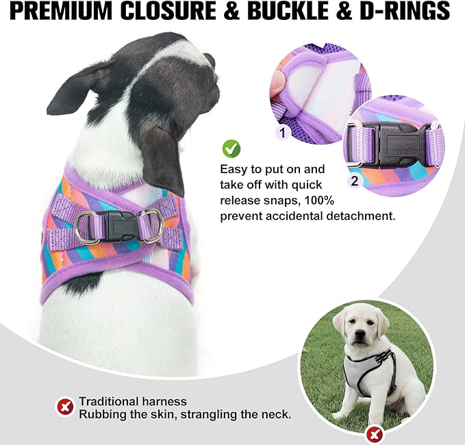 BEAUTYZOO Dog Harness and Leash Set for Small Dogs,No Pull Step-in Harness for Puppy XS S Sized Dogs and Cats,Air Mesh Adjustable Breathable Soft No Chock Escape Proof Vest Harnesses,Striped Purple XS