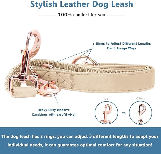 Soft Leather Dog Collar and Leash (6.6') Set - Stylish Rose Gold Heavy Duty Metal Buckle, 4 Adjustable Lengths Leash for Small Medium Large Dogs - Comfortable & Easy to Clean Beige XS(8"-12")