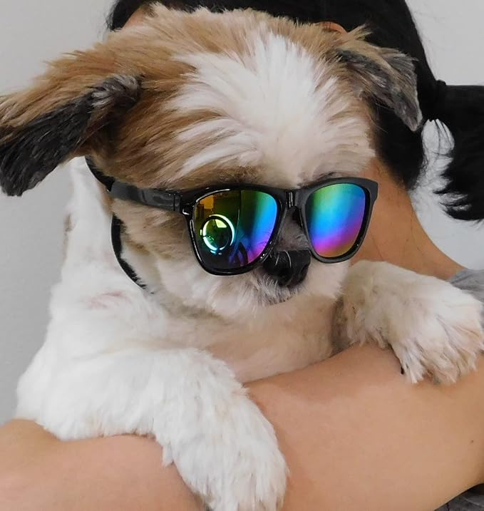 G014 Dog Cat Pet 80s Sunglasses Goggles for Small Breeds up to 15lbs (2-Pack Black+ Black-Rainbow Mirror)