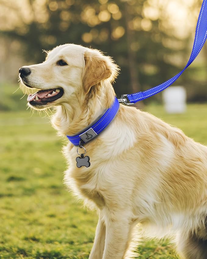 Joytale Dog Collar for Large Dogs, Neoprene Padded and Adjustable, Reflective Wide Heavy Duty Pet Collars with Durable Metal Belt Buckle for Walking, Navy Blue, L