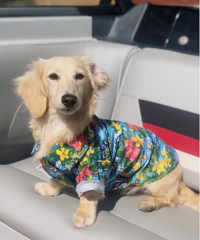 Parisian Pet Hawaiian Dog Shirt - Cotton Summer Dog Clothes - Stylish Beach Outfit - Hook & Loop Closure - Machine Washable XXL
