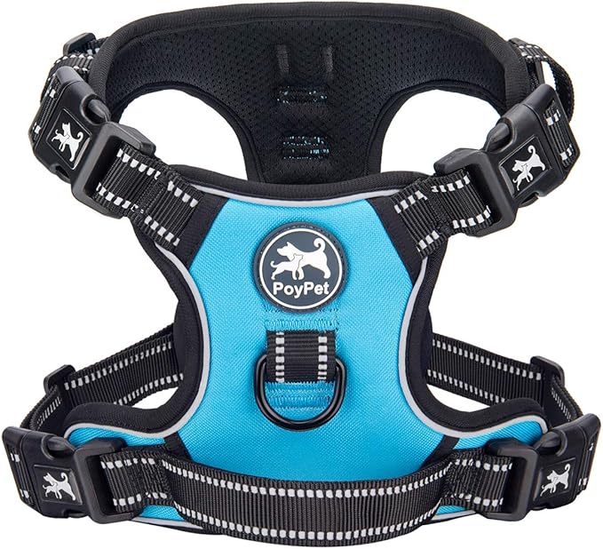 PoyPet Dog Harness No Pull, Reflective with Front & Back 2 Leash Hooks and an Easy Control Handle Pet Harness for Puppy Small Dog, Adjustable Soft Padded Vest Harness(Blue,S)