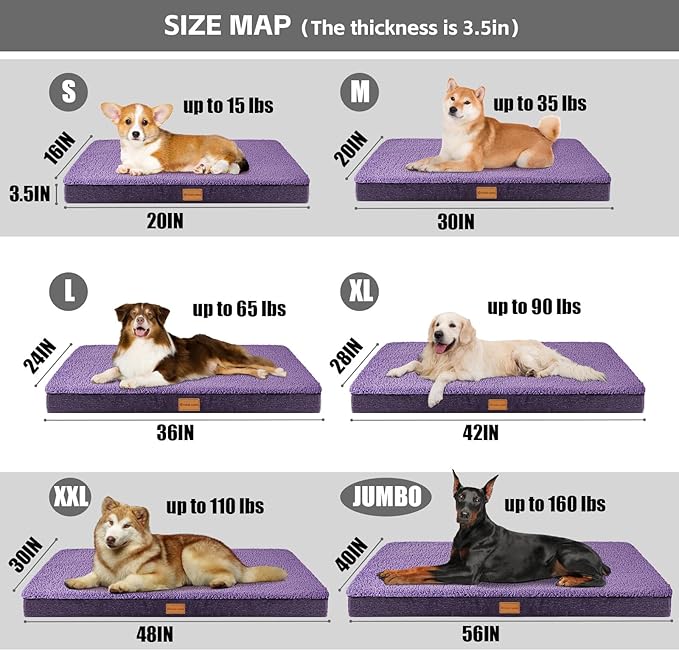 Patas Lague Orthopedic Dog Bed for Small Dogs, Soft Comfortable Waterproof Egg Crate Foam Small Pet Beds Mat with Removable Washable Cover, 20''X15'' Purple