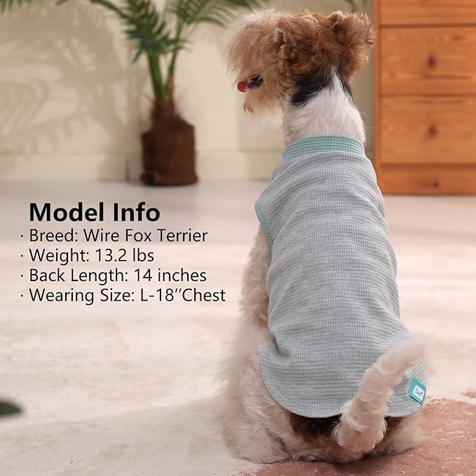 KYEESE 2Pack Dog Shirts Waffle for Small Dogs Stretchy Dog T-Shirts Lightweight Tank Top Sleeveless Vest Breathable Cat Shirt, Medium, Green+Grey