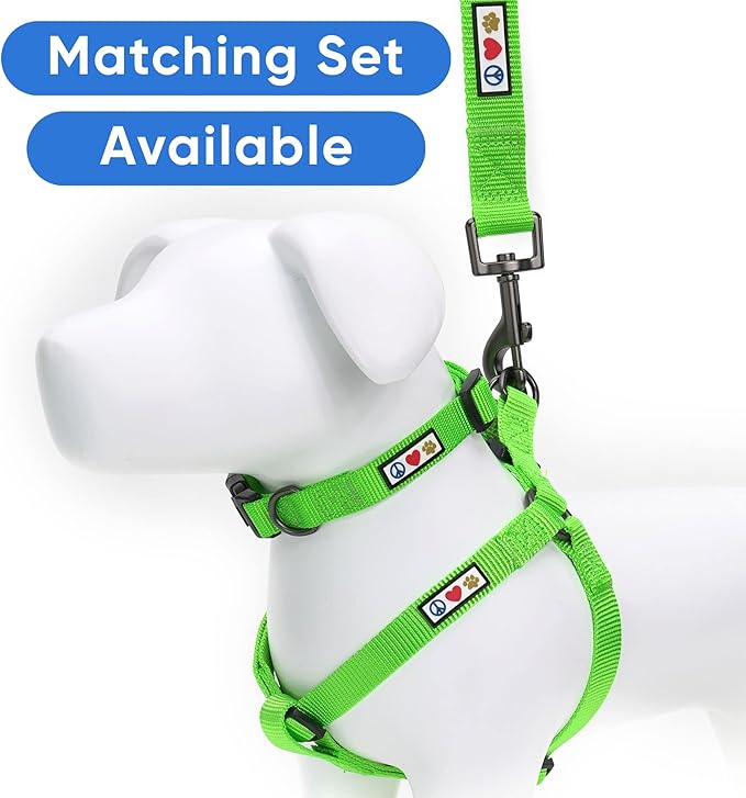 Pawtitas Solid Color Step in Dog Harness or Vest for Training and Walking - Medium Green