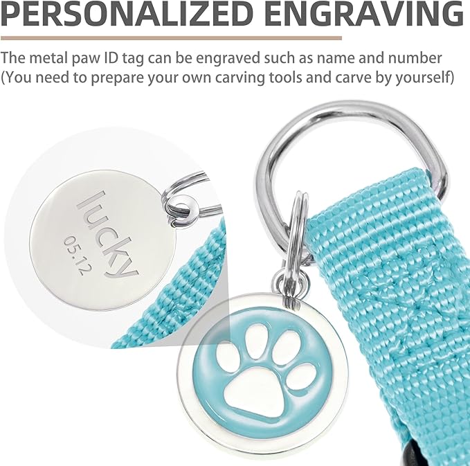 PUPTECK No Pull Dog Harness Soft Adjustable Basic Nylon Step in Puppy Vest Outdoor Walking with ID Tag SkyBlue