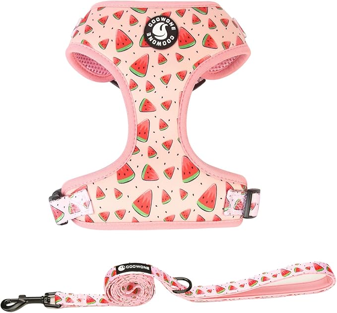 Coowone Dog Harness and Leash Set, Adjustable Puppy Harness and Soft Padded Dog Vest Harness for Small Medium Large Dogs