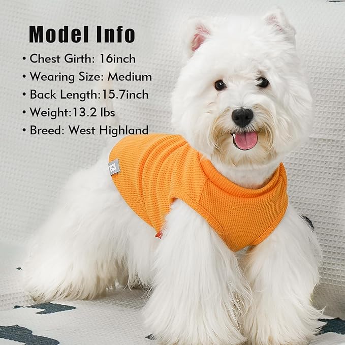 KYEESE 2Pack Waffle Dog Shirts for Small Dogs Stretchy T-Shirts Lightweight Tank Top Sleeveless Striped Shirt Vest Breathable Cat Shirt, Large, Orange+Striped