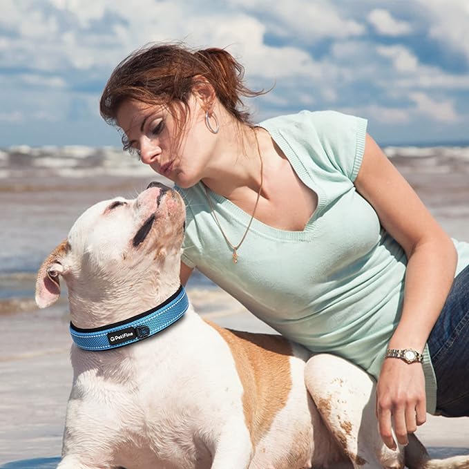 PetiFine Neoprene Padded Dog Collar, Heavy Duty Comfort Dog Collar with Durable Metal Buckle, Reflective Adjustable Belt Buckle Dog Collars for Small Medium Large Dogs(11”-14.5“, Blue)