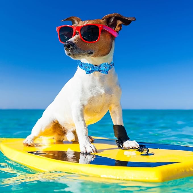 Maca Bates Shark Dog Collar with Breakaway Bow Tie Boetie Puppy Collar with Metal Buckle Cute Pink Adjustable Wide Soft for Small Medium Large Dogs for Girl Boy Pets