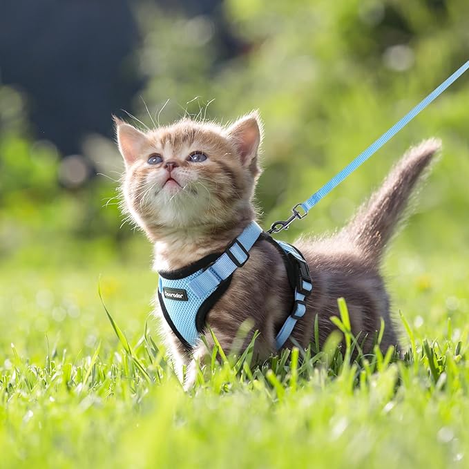 Dooradar Cat Harness and Leash Set, Escape Proof Safe Adjustable Kitten Vest Harnesses for Walking, Easy Control Soft Breathable Mesh Jacket with Reflective Strips for Cats, Light Blue, XXS
