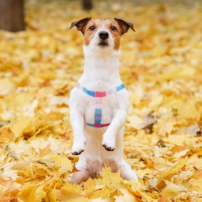 PUPTECK No Pull Dog Harness Soft Adjustable Basic Nylon Step in Puppy Vest Outdoor Walking with ID Tag, Striped Pink, S