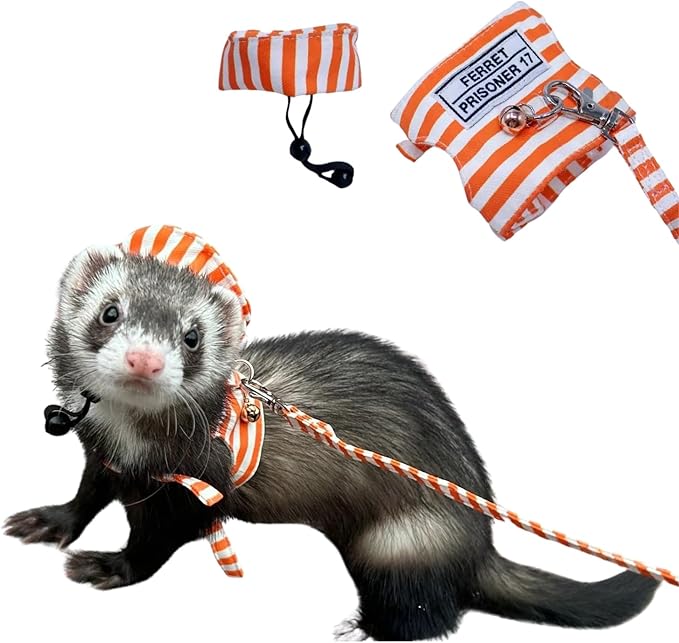 Ferret Harness and Leash - Adjustable Soft Cotton Small Pet Harness with Safe Bell, No Pull Comfort Padded Vest for Ferret, Guinea Pigs, Chinchilla and Similar Small Animals (Orange)