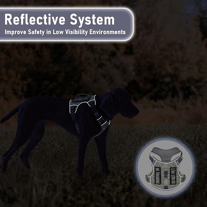 Light Dog Harness for Small Sized Dog Breeds, No-Pull Pet Harness with 2 Leash Clips, Adjustable Soft Padded Dog Vest, Reflective Pet Oxford Vest, Puggle, Terriers, Beagle, Gray Ethnic, Small