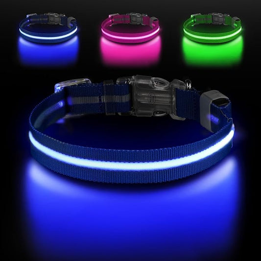 Led Dog Collar for Night Walking,Rechargeable Light Up Dog Collar Led Color,Glow in The Dark Dog Collars Waterproof for Small Medium Large Dogs(Blue, Medium)