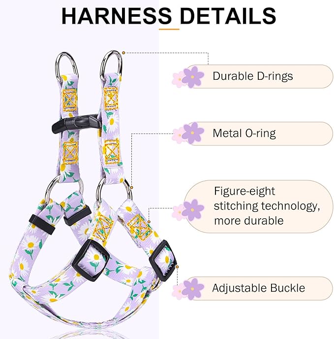 BEAUTYZOO No Pull Dog Harness and Leash Set - Adjustable Step-in Puppy Harness for Small Medium Large Dogs, Escape Proof Soft Nylon Vest with Double D Ring for Walking Running Training, Purple XS