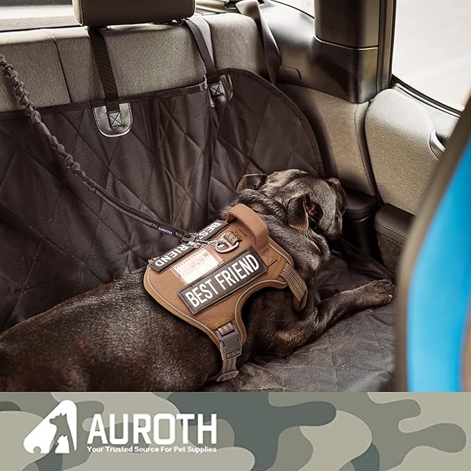 AUROTH Heavy Duty Bungee Dog Leash for Shock Absorption - 6FT Black Training Leash With 2 Padded Handles for Medium Large Breed Dogs