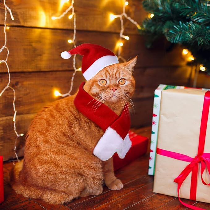 Oudain 10 Pieces Christmas Cat Santa Hats with Scarf and Collar Set, Christmas Cat Costumes Pet Santa Hat Scarf Set Puppy Dog Xmas Hat Outfit for Cats Small Dogs Puppy Accessories