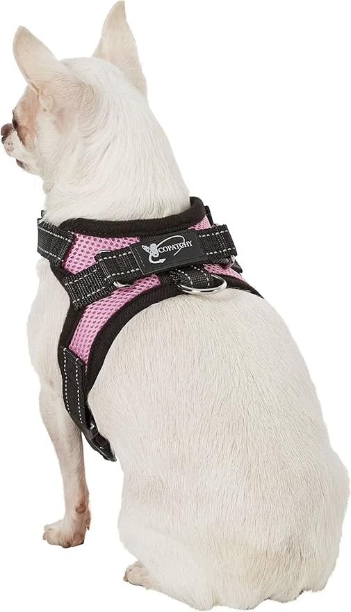 No Pull Reflective Adjustable Dog Harness With Handle- Comfortable Soft All Weather Mesh, Easy On Puppy Harness For Small Medium and Large Dogs (Pink) X-Small