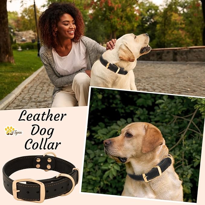 ADITYNA Heavy Duty Leather Dog Collar for Medium Dogs - Soft and Strong Leather Collar for Walking, and Training (Black - Gold Colored Buckle, Medium: Fit 13" - 20" Neck)