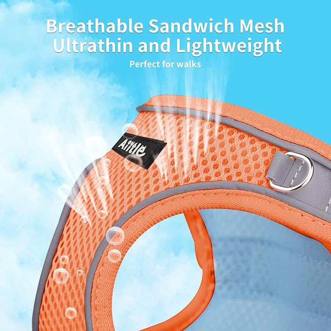 AIITLE Comfortable Dog Harness and Leash Set for Walking - Spring Step in Vest Harness,Reflective Bands, Adjustable No Pull Puppy Essentials, for Small Dogs and House Cats Orange XS