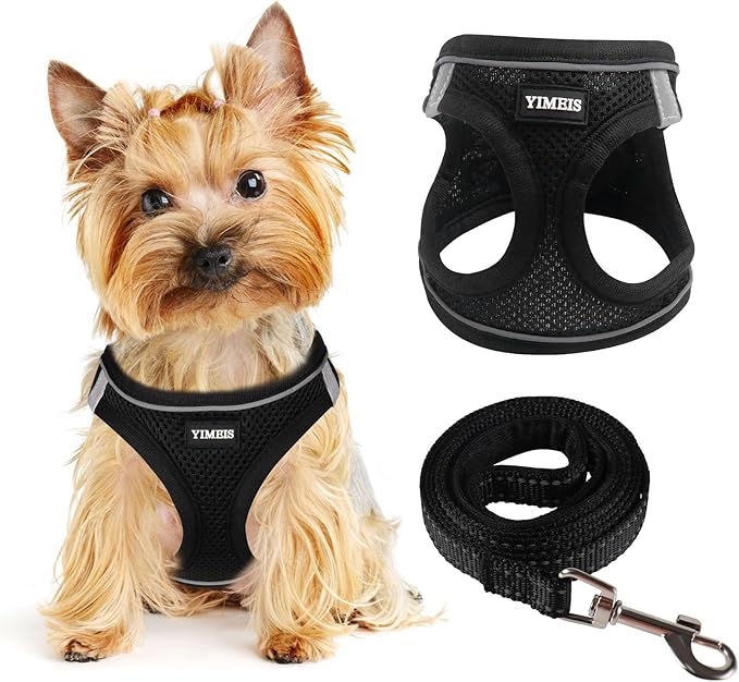 Dog Harness for Small Dogs and Leash Set, Honeycomb Grid, Reflective Lightweight Harness & Anti-Twist Pet Lead (Multi Color, Size: XS-S-M) (M, Black)