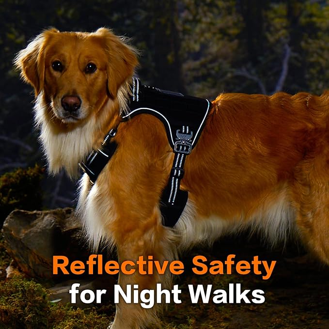 PawsPassion Tactical Dog Harness for Medium Dogs, Chew-Proof Metal Hardware, Heavy Duty No Pull Dog Harness, Reflective Strips, Adjusting Ring, MOLLE System, Hook and Loop Panel (Stealth, M)