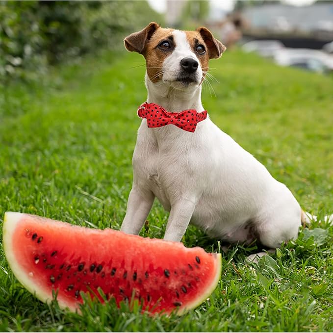 Lionheart glory Dog Collar, Watermelon Dog Collar with Bow, Summer Dog Bowtie Collar Cute Pet Collar Gift for Medium Dog
